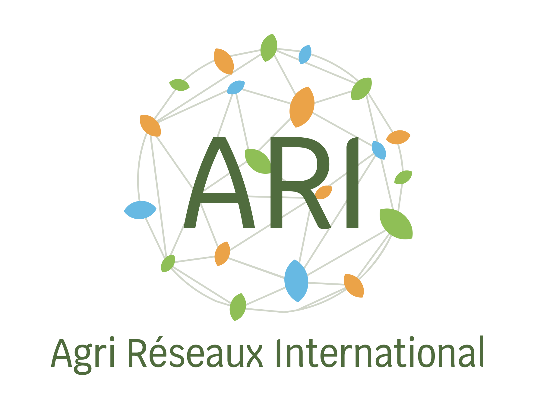 Logo Agri Réseaux International