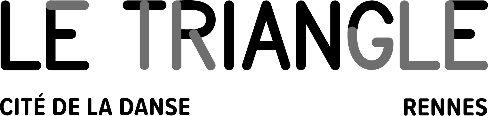 logo triangle 26 27 rennes ligne ngris